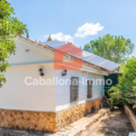 Pferdeimmo mit Pool und kleinem Häuschen