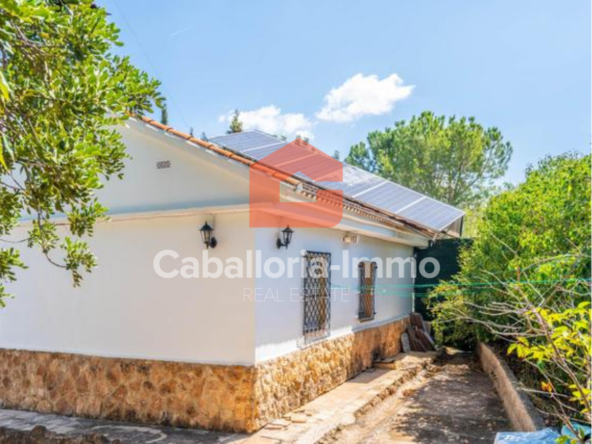 Pferdeimmo mit Pool und kleinem Häuschen